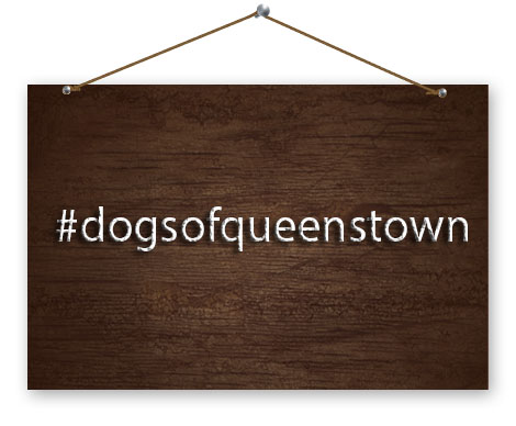 hashtag dogs of queenstown